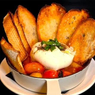 Burrata Bruchetta